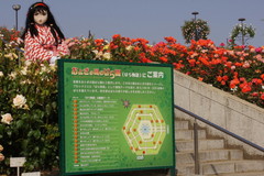 2013_0521_154056AAa.jpg