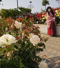 2013_0521_154458AAa.jpg