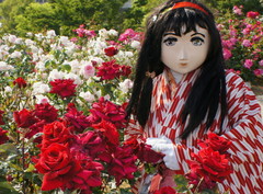 2013_0521_155008AAa.jpg