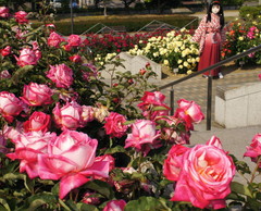 2013_0521_155630AAa.jpg