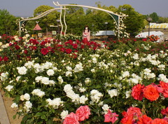 2013_0521_160140AAa.jpg