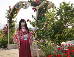 2013_0521_161620AAa.jpg