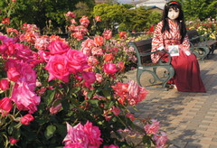 2013_0521_161752AAa.jpg