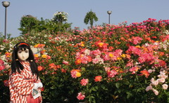 2013_0521_162000AAa.jpg