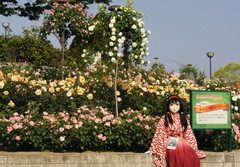 2013_0521_163052AAa.jpg