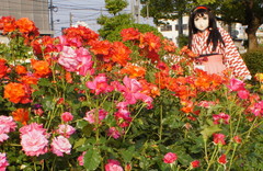 2013_0521_165154AAa.jpg