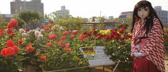 2013_0521_165244AAa.jpg