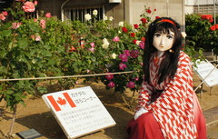 2013_0521_165328AAa.jpg