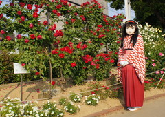 2013_0521_165632AAa.jpg