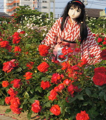2013_0521_170042AAa.jpg