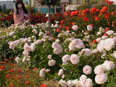2013_0521_170252AAa.jpg