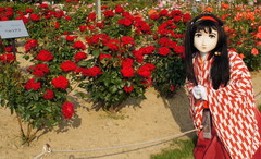 2013_0521_170404AAa.jpg