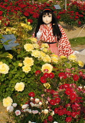 2013_0521_170506AAa.jpg
