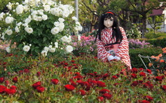 2013_0521_171412AAa.jpg