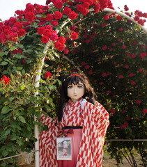 2013_0521_172058AAa.jpg