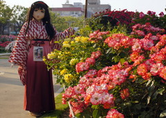 2013_0521_172414AAa.jpg
