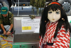 2013_0525_105710AAa.jpg