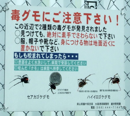 2013_0526_130554AAa.jpg