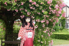 2013_0610_123220AAa.jpg