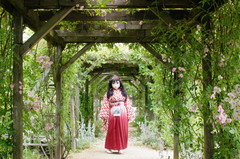 2013_0610_124058AAa.jpg