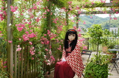 2013_0610_130104AAa.jpg