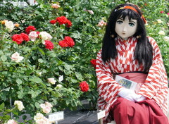 2013_0610_140516AAa.jpg