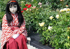 2013_0610_140616AAa.jpg
