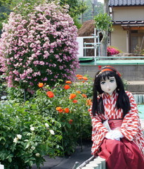 2013_0610_141040AAa.jpg