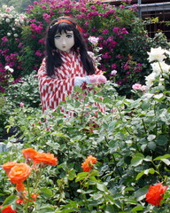 2013_0610_141132AAa.jpg
