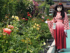 2013_0610_141940AAa.jpg