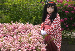 2013_0610_142932AAa.jpg