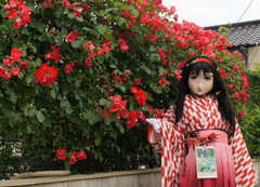 2013_0610_143622AAa.jpg