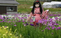 2013_0610_154840AAa.jpg