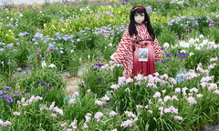 2013_0610_160540AAa.jpg