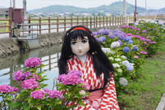 2013_0624_111548AAa.jpg