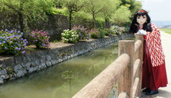 2013_0624_112822AAa.jpg