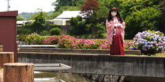 2013_0624_113102AAa.jpg