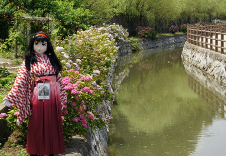 2013_0624_113250AAa.jpg