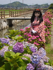 2013_0624_113432AAa.jpg