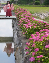 2013_0624_113830AAa.jpg