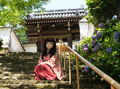 2013_0624_122552AAa.jpg