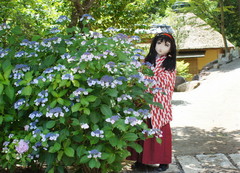 2013_0624_125346AAa.jpg