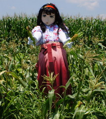 2013_0709_115556AAa.jpg