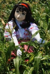 2013_0709_115748AAa.jpg
