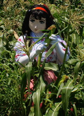 2013_0709_115804AAa.jpg