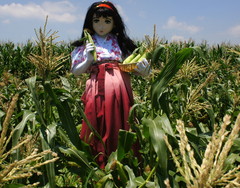 2013_0709_120414AAa.jpg