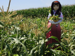 2013_0709_120930AAa.jpg