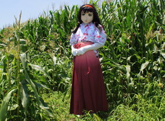 2013_0709_121302AAa.jpg