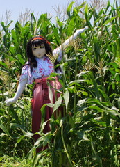 2013_0709_121350AAa.jpg