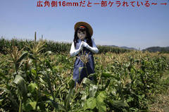 2013_0711_131108AAa.jpg